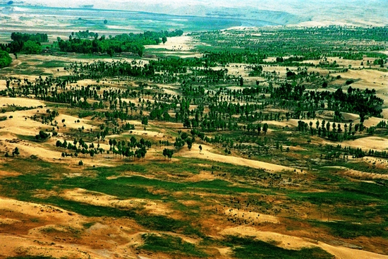  经多年生态治理，如今的库布其沙漠逐步形成一道抵御风沙、保持水土、护农促牧的“绿色长城”。（刘博仑摄）