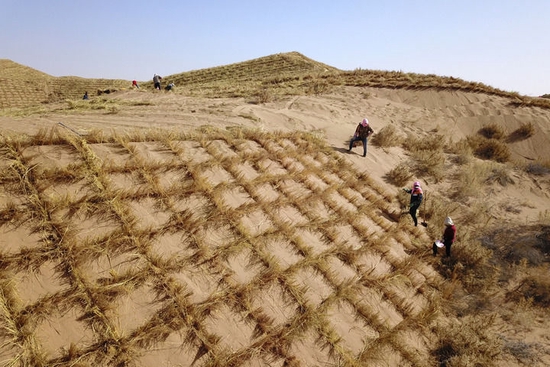在甘肃省古浪县北部沙区旱麻岗治沙点，八步沙林场治沙人和群众一起扎草方格压沙（2020年3月6日摄，无人机照片）。新华社记者 范培珅 摄