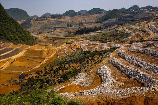 2016年拍摄的云南西畴县兴街镇三光片区石漠化治理工作现场(资料照片)