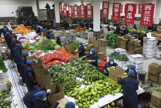 吉林省梅河口市工作人员进行“蔬菜包”菜品分拣（4月7日摄，无人机照片）。新华社发