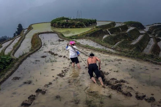 广东全域低风险，端午跨省游产品重新上架