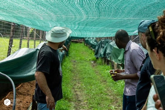 在意大利小镇，发现“地中海饮食”的传统与未来休闲区蓝鸢梦想 - Www.slyday.coM