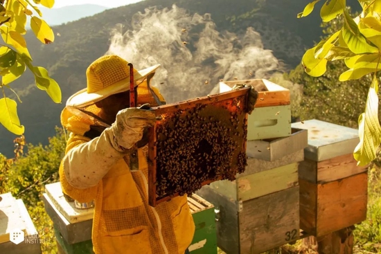 在意大利小镇，发现“地中海饮食”的传统与未来休闲区蓝鸢梦想 - Www.slyday.coM