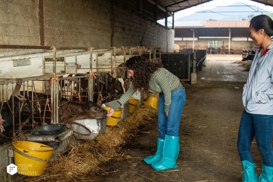 在意大利小镇，发现“地中海饮食”的传统与未来休闲区蓝鸢梦想 - Www.slyday.coM