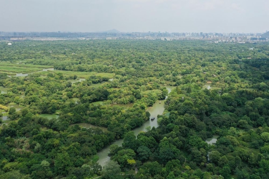  2020年8月22日拍摄的西溪国家湿地公园（无人机照片）。新华社记者 黄宗治 摄