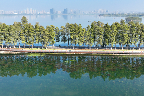 11月3日拍摄的武汉东湖绿道。新华社记者程敏 摄