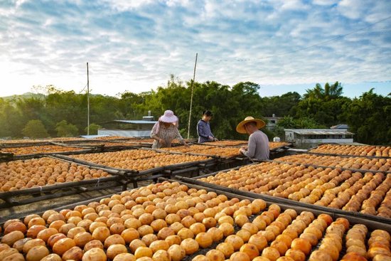 8年攻坚，5年巩固，近1亿人稳定脱贫，中国为什么能？