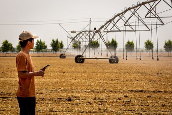 大学排名攀升，“这是中国30年持续、有针对性投资的结果”