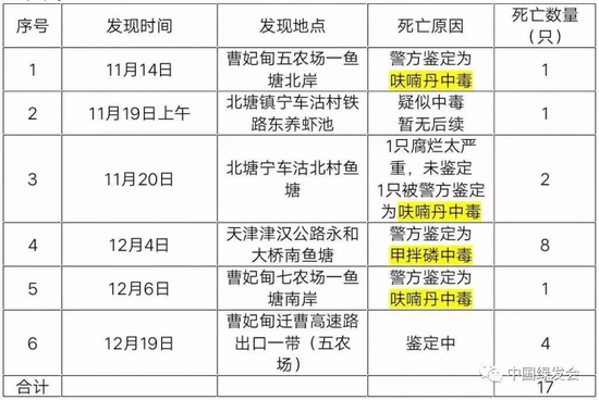 东方白鹳遭偷猎 为暴利竟给它下毒