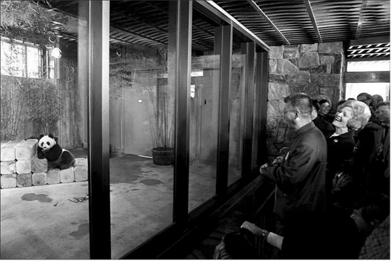 1972年2月，时任美国总统尼克松秘密访华，尼克松夫人在到达北京的第二天就参观了北京动物园