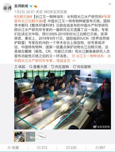 澎湃新聞報道截圖