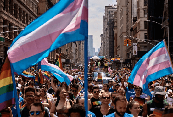 图:蓝色与粉色相间的跨性别骄傲旗帜