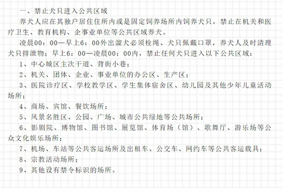 夜访云南昭通主城区遇到5条狗，律师称最严“限狗令”涉嫌行政违法