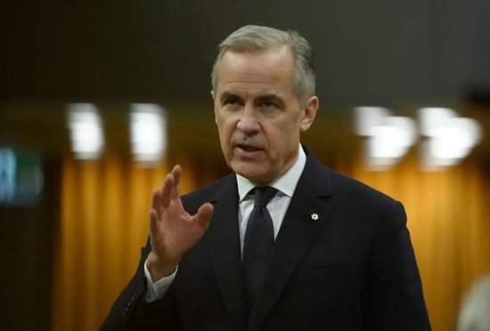 5位欧洲领导人手持武器，配文：唐纳德，够了！加拿大总理：现在的美国，几乎什么都不正常