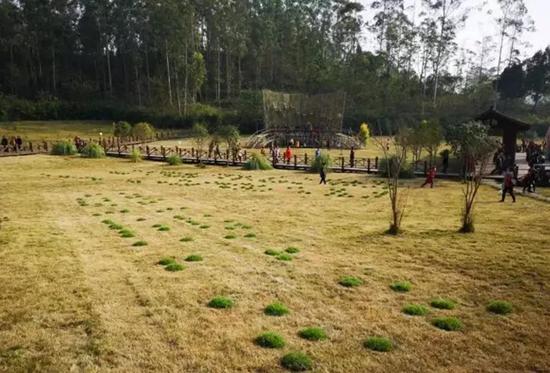  范勃 一次诗歌复制 装置：泥土、草皮 2018