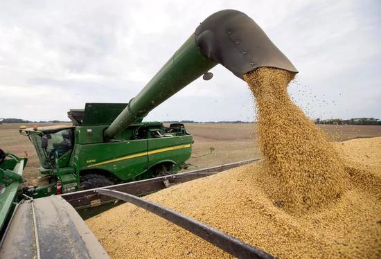  ▲資料圖片：在美國印第安納州的一處農場，農民在收割大豆。（美聯社）