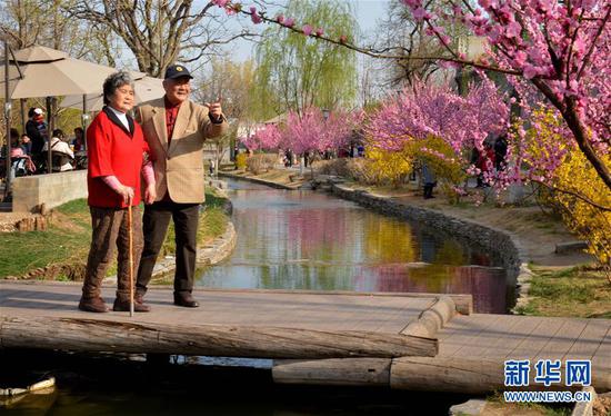 市民在北京前门东区三里河绿化景观踏青（2019年4月1日摄）。 新华社记者 任超 摄
