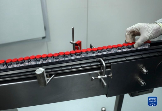 2021年9月6日，位于埃及吉萨的埃及生物制品与疫苗公司使用中国科兴疫苗原液生产新冠疫苗。埃及是非洲大陆第一个同中国合作生产新冠疫苗的国家。新华社发（艾哈迈德·戈马 摄）