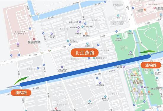 上海今年41条落叶不扫景观道公布 其中2条明天就