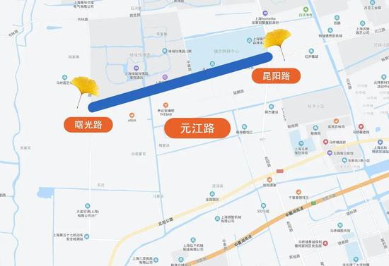 上海今年41条落叶不扫景观道公布 其中2条明天就