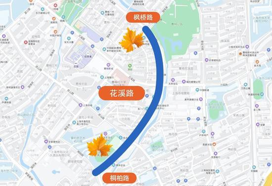 上海今年41条落叶不扫景观道公布 其中2条明天就