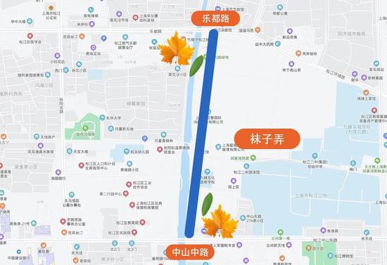上海今年41条落叶不扫景观道公布 其中2条明天就