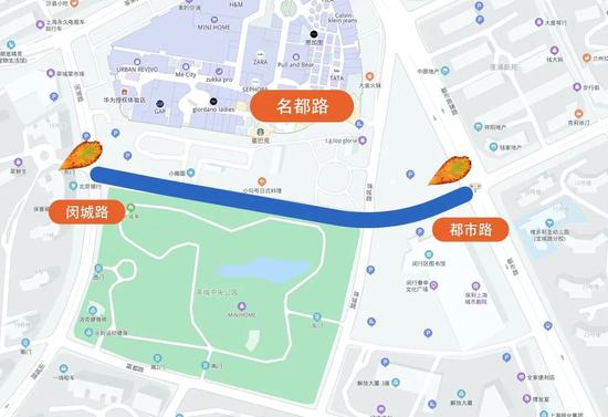 上海今年41条落叶不扫景观道公布 其中2条明天就