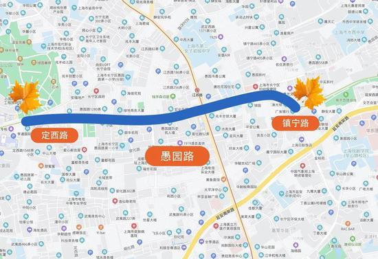 上海今年41条落叶不扫景观道公布 其中2条明天就