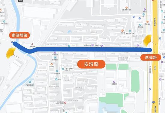 上海今年41条落叶不扫景观道公布 其中2条明天就