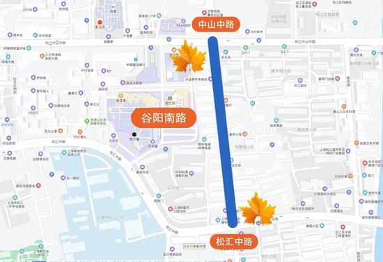 上海今年41条落叶不扫景观道公布 其中2条明天就