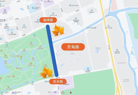 上海今年41条落叶不扫景观道公布 其中2条明天就