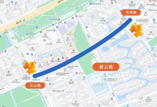 上海今年41条落叶不扫景观道公布 其中2条明天就