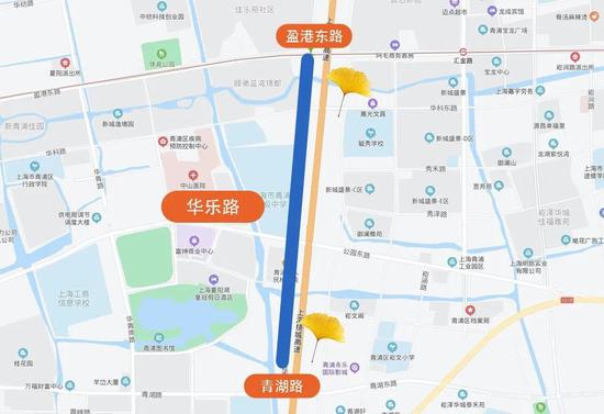 上海今年41条落叶不扫景观道公布 其中2条明天就