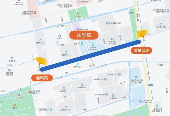 上海今年41条落叶不扫景观道公布 其中2条明天就