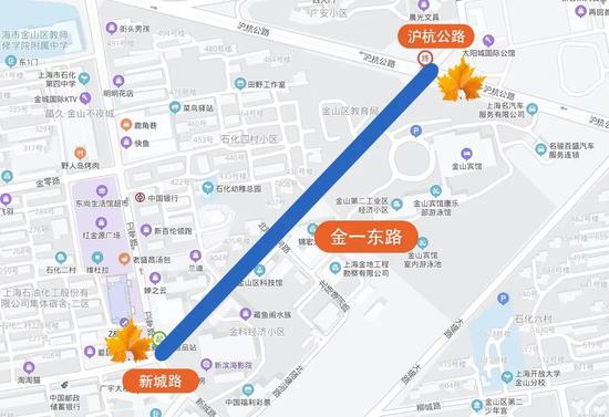 上海今年41条落叶不扫景观道公布 其中2条明天就