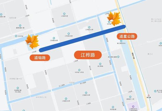 上海今年41条落叶不扫景观道公布 其中2条明天就