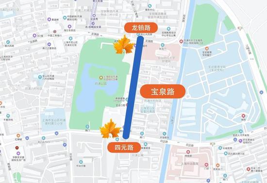 上海今年41条落叶不扫景观道公布 其中2条明天就
