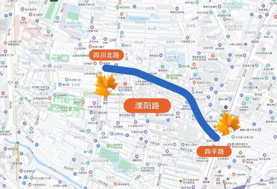 上海今年41条落叶不扫景观道公布 其中2条明天就