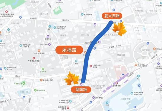 上海今年41条落叶不扫景观道公布 其中2条明天就
