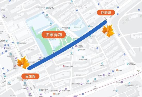 上海今年41条落叶不扫景观道公布 其中2条明天就