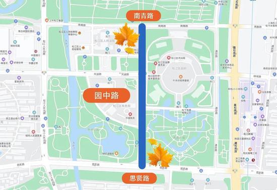 上海今年41条落叶不扫景观道公布 其中2条明天就