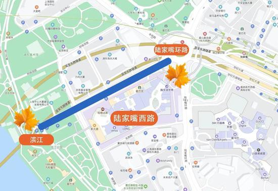 上海今年41条落叶不扫景观道公布 其中2条明天就