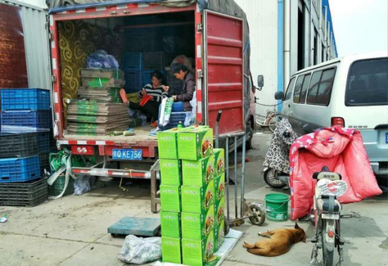 北京疫情反弹“原点”批发市场，问题到底出在