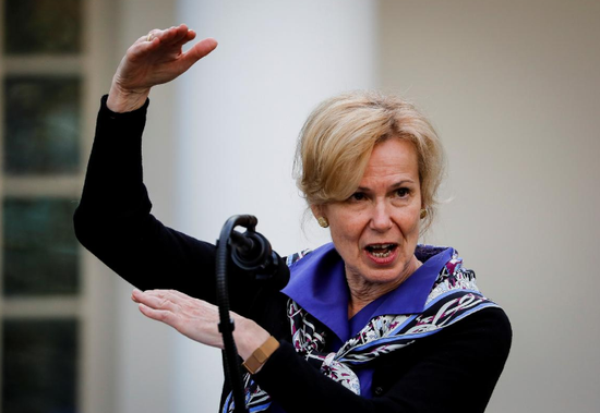 美媒：白宫医疗专家要求彭斯开除新任疫情顾问