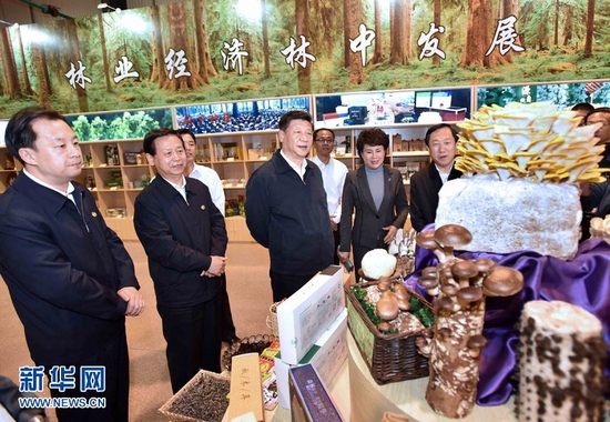 2016年5月23日至25日，中共中央总书记、国家主席、中央军委主席习近平在黑龙江考察调研。这是5月23日上午，习近平在伊春市生态经济开发区规划展示厅观看生态产品展示，了解林区全面停伐后产业接续发展情况。 新华社记者 李涛 摄