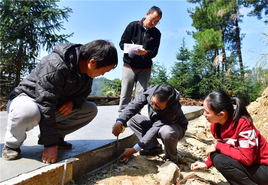 　　在广西柳州市融水苗族自治县良寨乡培洞村，纪检监察干部（右一、二、三）在检查扶贫道路施工情况（2019年11月5日摄）。新华社记者 黄孝邦 摄