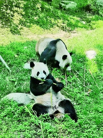 绘就人与自然和谐共生的中国画卷