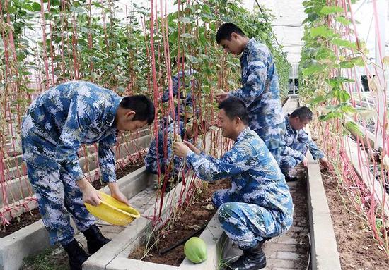  官兵在阳光菜棚为菜园浇水除草。