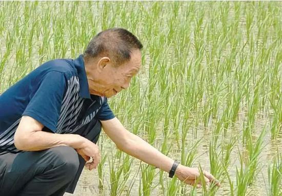 90后打老人:90后觉得自己老了?有些90岁老人却还在996