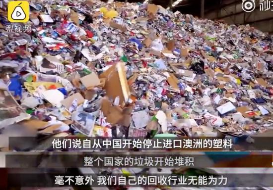 (图源:梨视频)